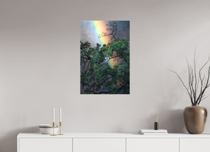 Weathered & Unbeaten, Zimbabwe