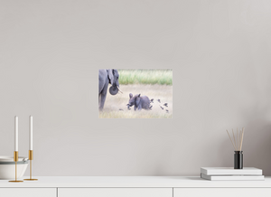 Childhood Fantasy, Elephant