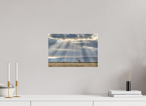 Waiting on Giants, Giraffe