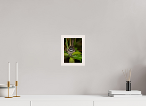 Weathering The Storm, Fantail