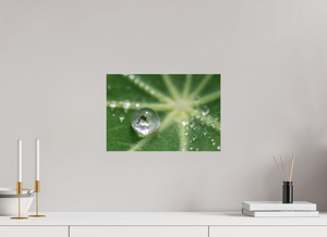 Jurassic Park, Maine