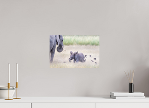 Childhood Fantasy, Elephant