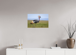 Strictly Formal, Crowned Crane