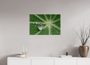 Jurassic Park, Maine