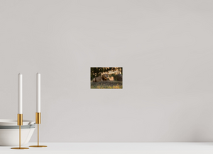 Lord of the Dawn, Lion