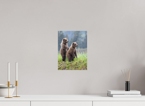 Double Trouble, Alaskan Coastal Brown Bear Cubs