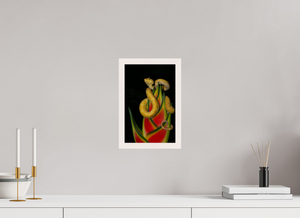 Fatal Attraction Fatal Attraction, Yellow Eyelash Viper