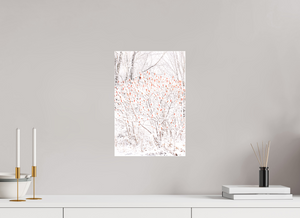 Torches of Winter, Maine