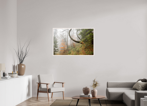 Imaginarium Opus, Slovenia