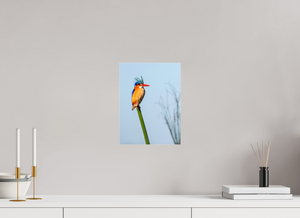 Mohawk, Malachite Kingfisher