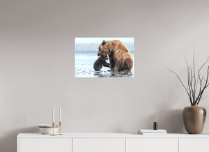 Protection, Alaskan Coastal Brown Bear Cub