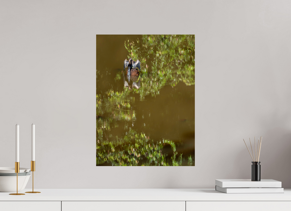 Watercolors, Anhinga
