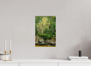 Autumn Confetti, Maine