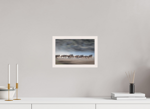 Safety in Numbers, Wildebeest