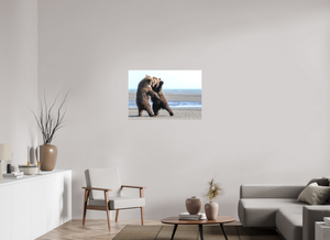 Sibling Rivalry, Alaskan Coastal Brown Bear Cubs