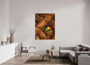 Color Balance, Sunbird