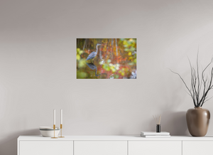 Impressions of Monet, Maine