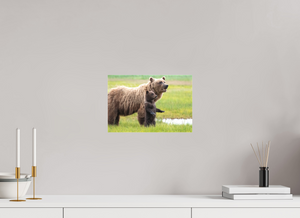 Standing Tall, Alaskan Coastal Brown Bear