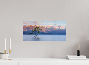 Endurance, New Zealand