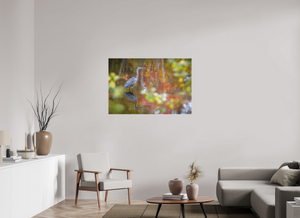 Impressions of Monet, Maine