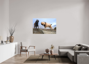 Billy Goat's Gruff, New Zealand