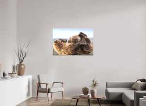 The Nursery Hour, Alaska