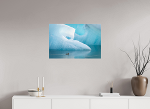 Frozen Eider, Iceland