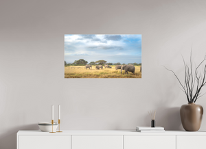 Shadow of Eden, Kenya