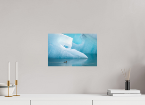 Frozen Eider, Iceland