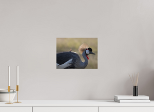 Rouge Details, Crowned Crane