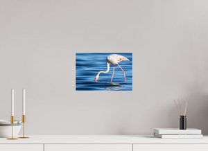 Point of Impact, Greater Flamingo