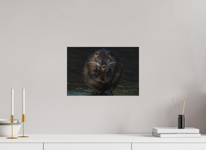 Beyond Braces, Nutria