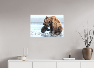 Protection, Alaskan Coastal Brown Bear Cub