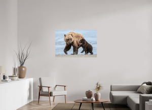 Playful Invitation, Alaskan Coastal Brown Bear