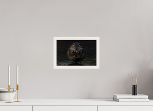 Beyond Braces, Nutria