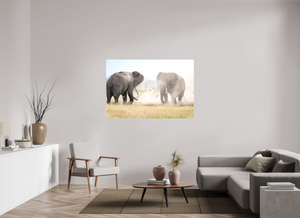 War and Peace, Elephant