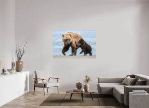 Playful Invitation, Alaskan Coastal Brown Bear