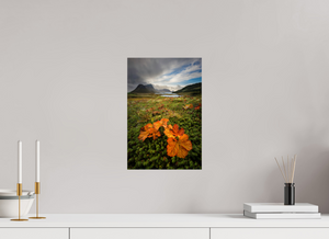 Gems in the Rough, Norway