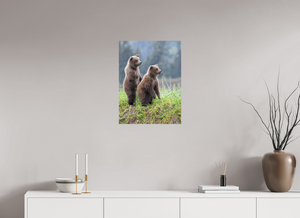 Double Trouble, Alaskan Coastal Brown Bear Cubs