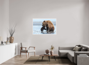 Protection, Alaskan Coastal Brown Bear Cub