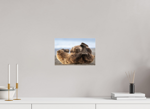 The Nursery Hour, Alaska