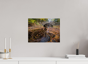 The Circumference of Autumn, Maine