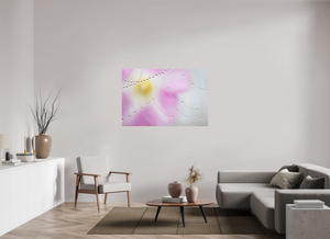 Spider's Treasure, Maine