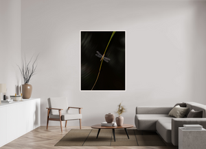 Potential Energy, Dragon Fly