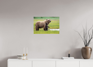 Standing Tall, Alaskan Coastal Brown Bear