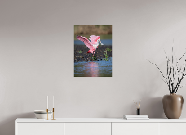 Water Dance, Roseate Spoonbill