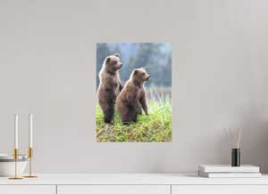 Double Trouble, Alaskan Coastal Brown Bear Cubs