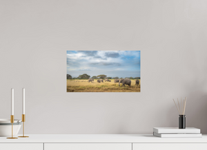 Shadow of Eden, Kenya