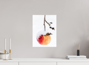 Frozen Delight, Maine