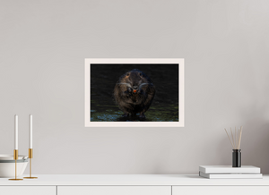 Beyond Braces, Nutria